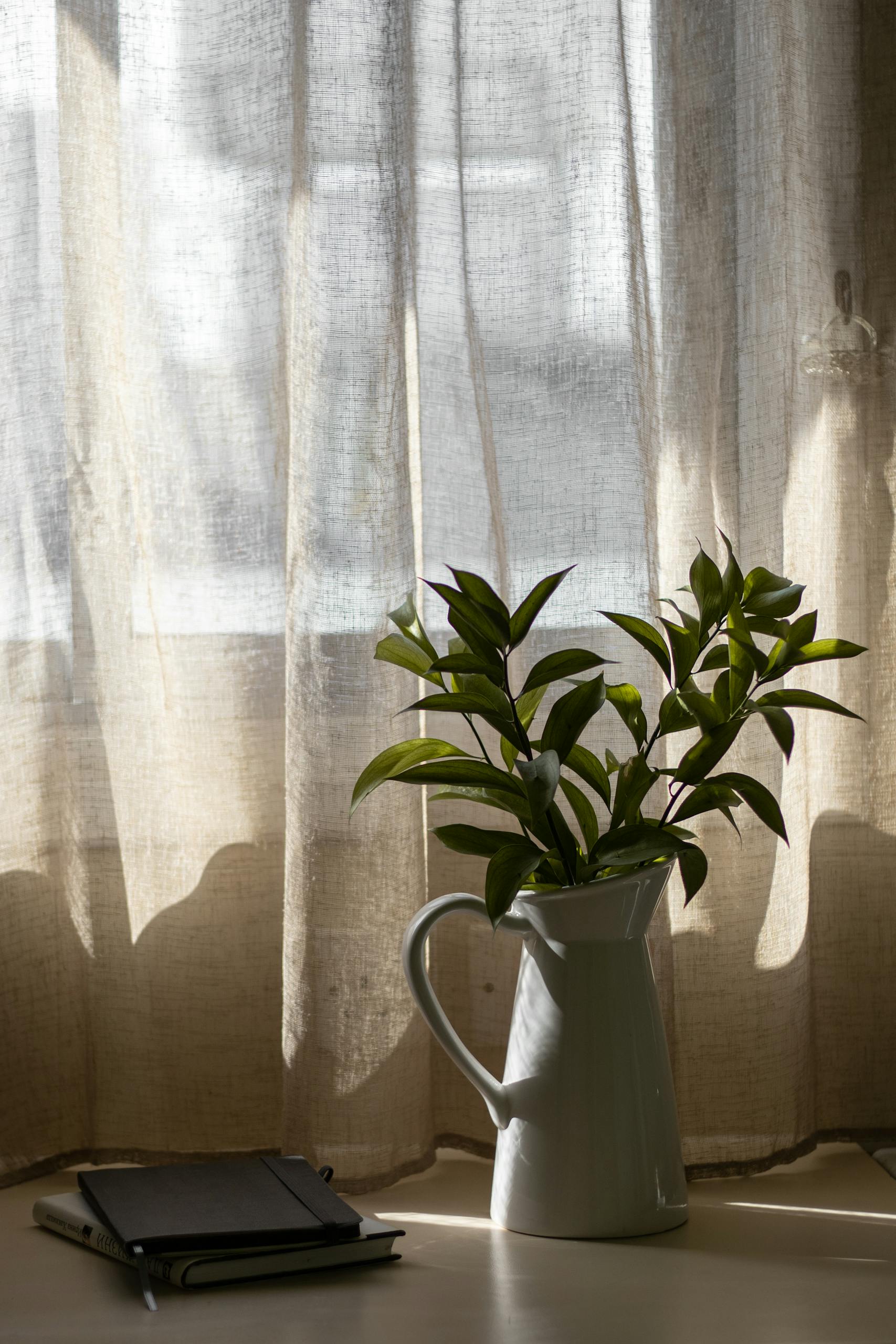 Elegant indoor scene with sunlight on foliage in a white vase and a notebook.